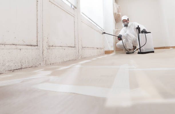 24/7 Emergency Mold Removal experts in Graham, TX